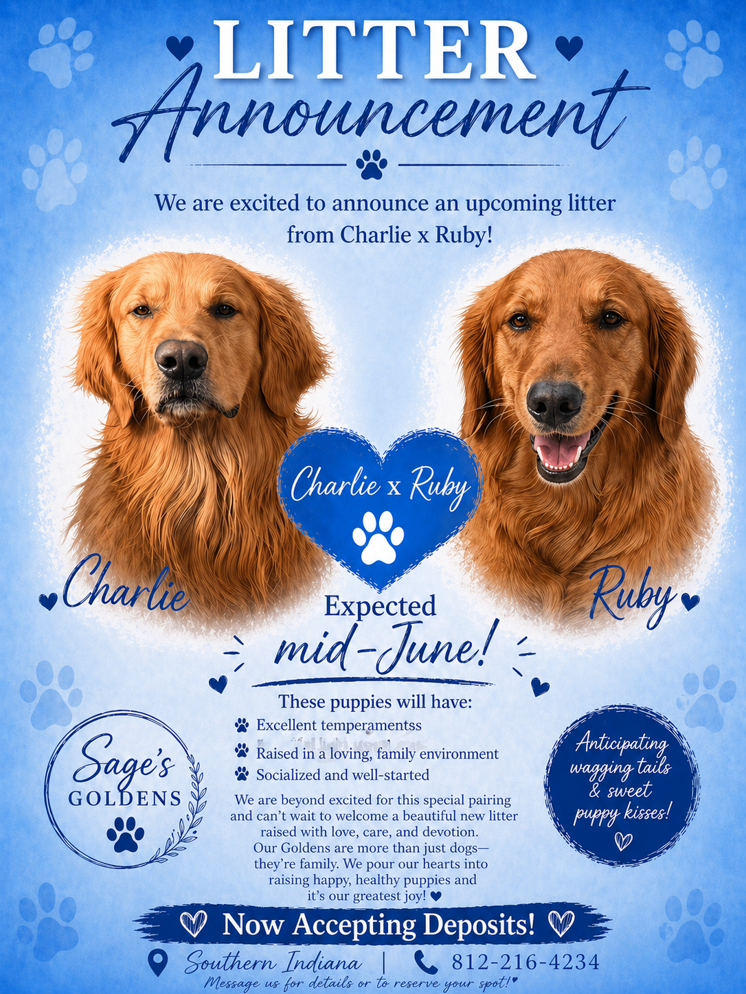 Charlie, Ruby, AKC Golden Retriever, Puppies, Sages Goldens